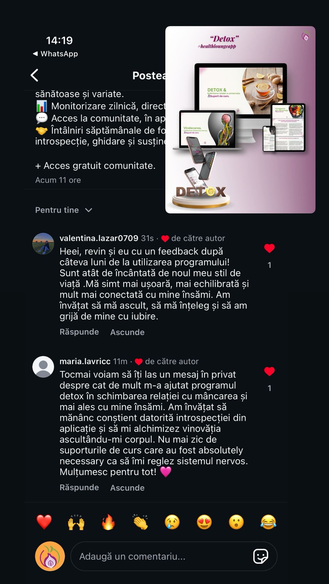 utilizare app